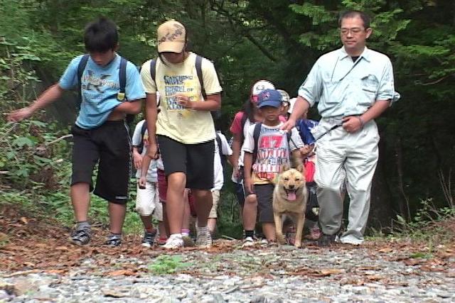 北海道犬が児童の登校見守る