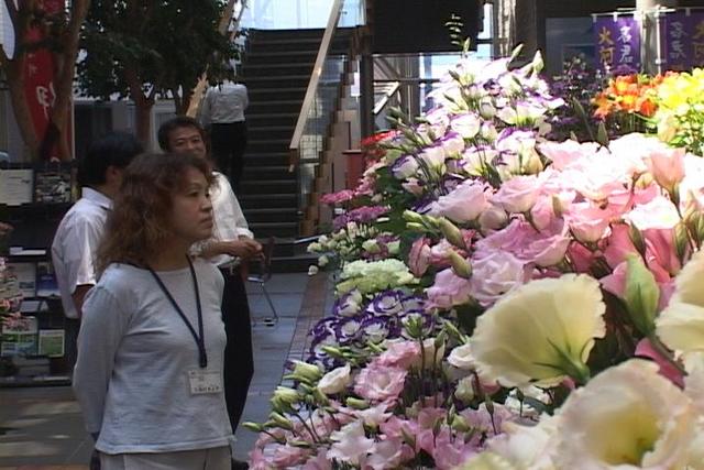 上伊那花卉品評会<br>飯島町の那須野明さんが長野県知事賞