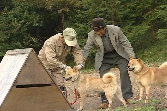 日本犬ミニサミット開催