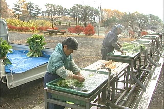 温泉のお菜洗い場　利用始まる