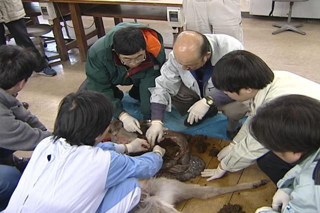 獣害防除対策研修会