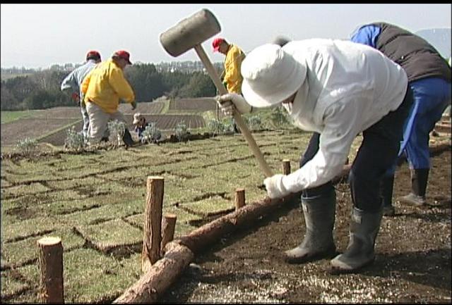 西部花街道をつくる会公園作り