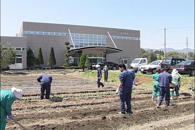 野菜づくりも「ものづくり」<br>テクミサワの取り組み