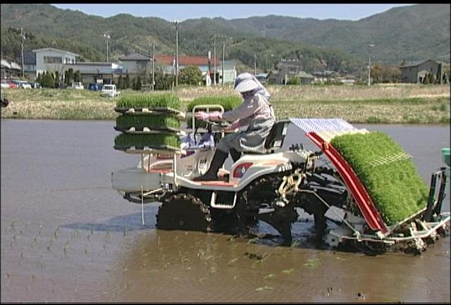 伊那市手良で田植え