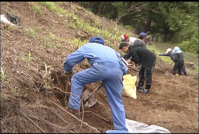 箕輪町上の平城跡の斜面を“果実の里”に