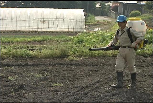 Eグループが箕輪町の休耕田に赤そばを播種