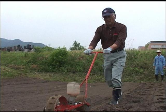 牛のえさとして畑で稲を栽培<br>伊那市で県内初の取り組み