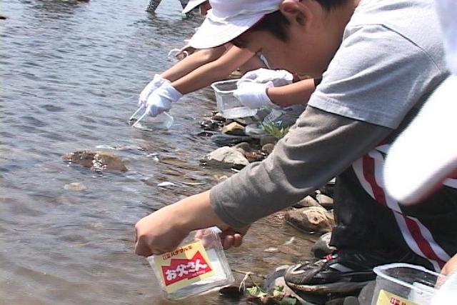 手良小学校の児童がアユの稚魚を放流