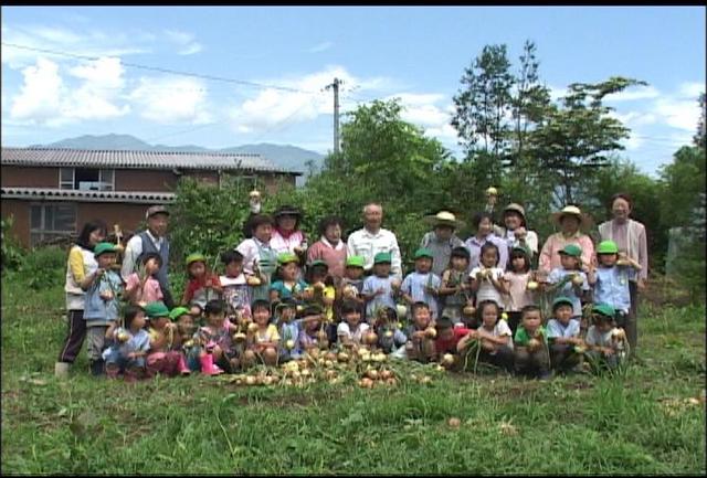 伊那北保の園児がタマネギ収穫