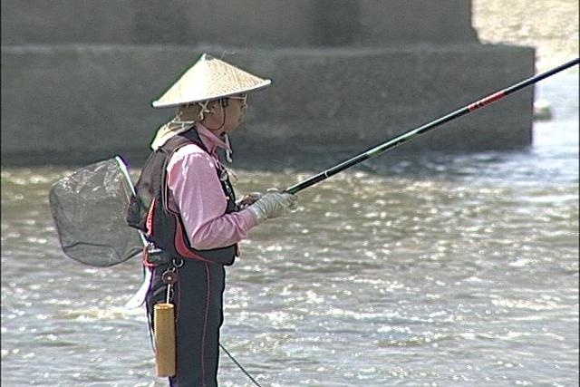 アユの友釣り解禁