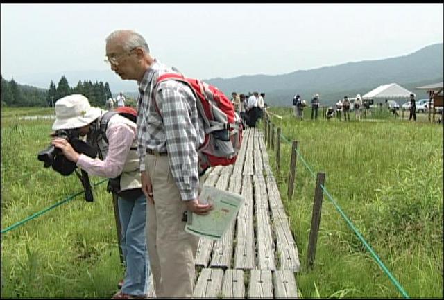 トンボの楽園でハッチョウトンボ観察会