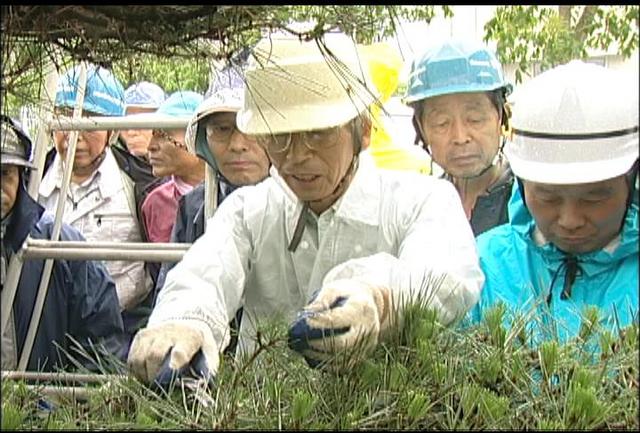 町公民館庭木の剪定講座