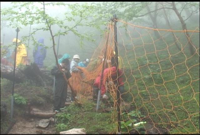 高山植物保護で柵設置