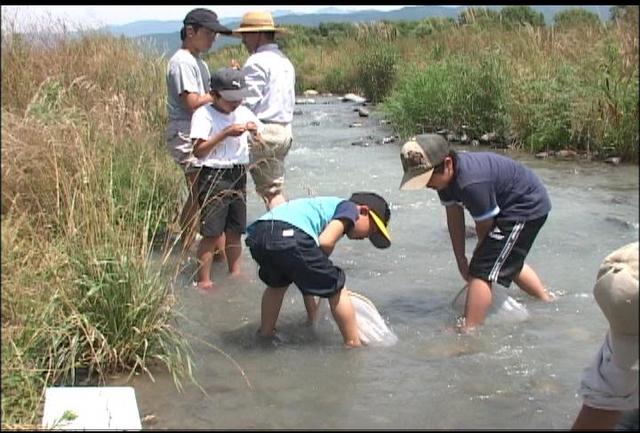 川シンポせせらぎウォッチング