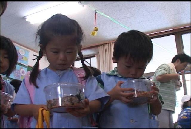 園児にカブトムシのプレゼント