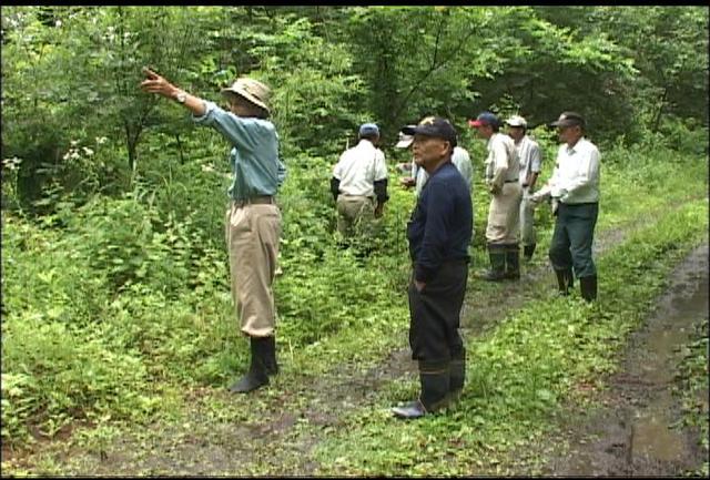 伊那谷伝統文化「蜂追い」の技術競う