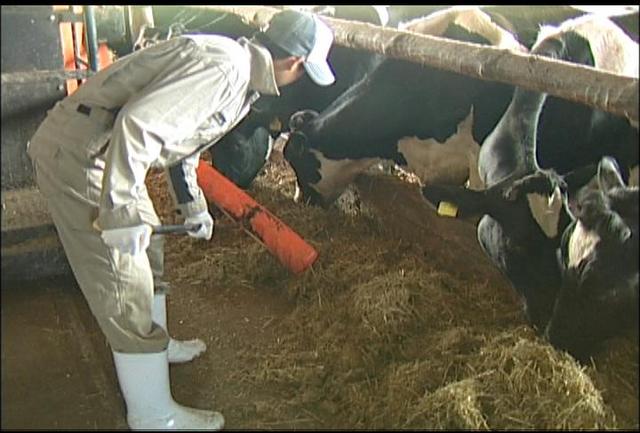 高校生が農家体験実習