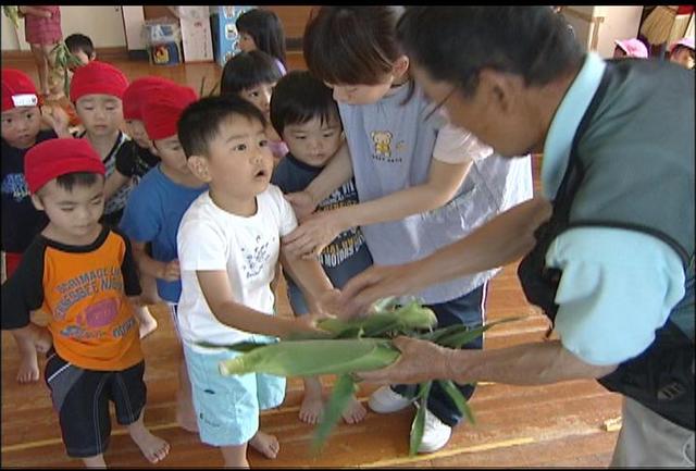 南箕輪西部保園児にスイートコーンプレゼント