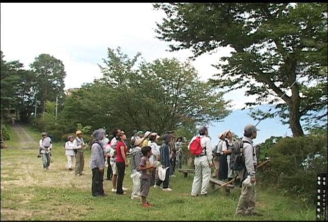 植物観察で高原満喫