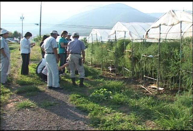 地域食材利用推進へ　学校栄養士が畑視察