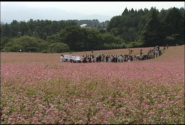 赤そばの里オープニング