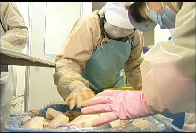 羽広菜かぶの漬け込み作業開始