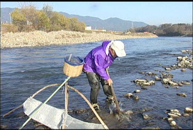 ザザムシ漁解禁