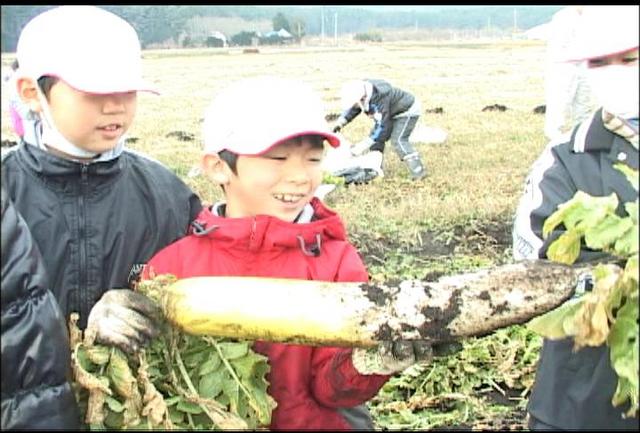 箕輪中部小児童大根収穫体験