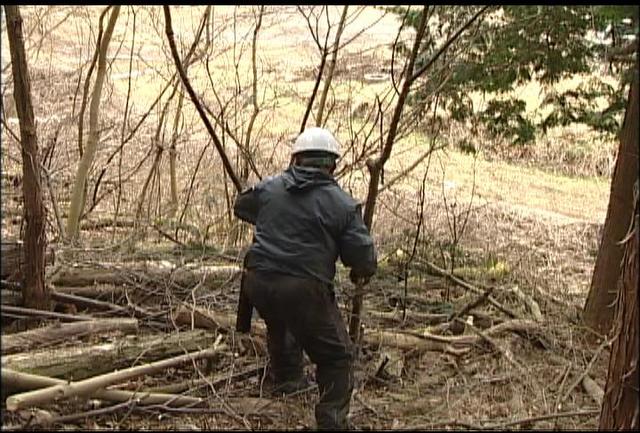 与地生産森林組合が緩衝帯整備