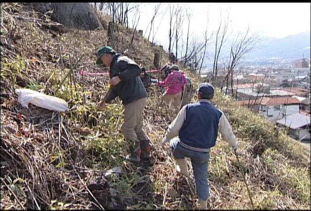 伊那公園桜愛護会が植樹