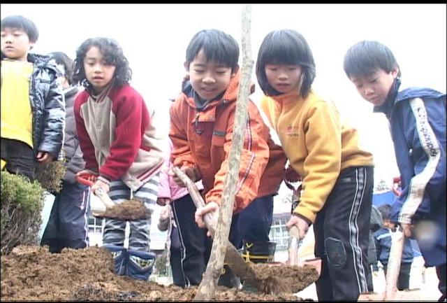 新山小で「オオモミジ」植樹