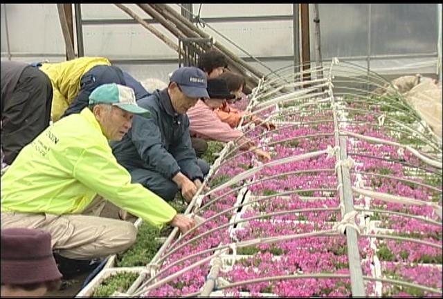 春の高校伊那駅伝に向け応援準備