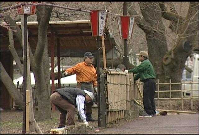 高遠城址公園でぼんぼり設置