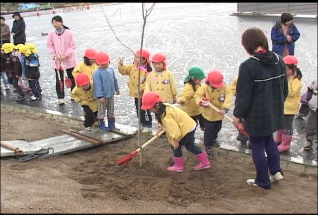 富県の園児が新保育園に植樹