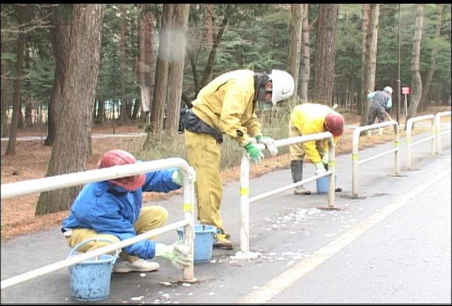 宮坂組が奉仕作業