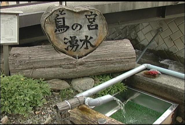 鳥の宮湧水は“おいしい水”