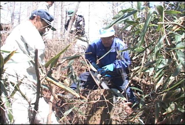 古道「黒沢道」復元へ