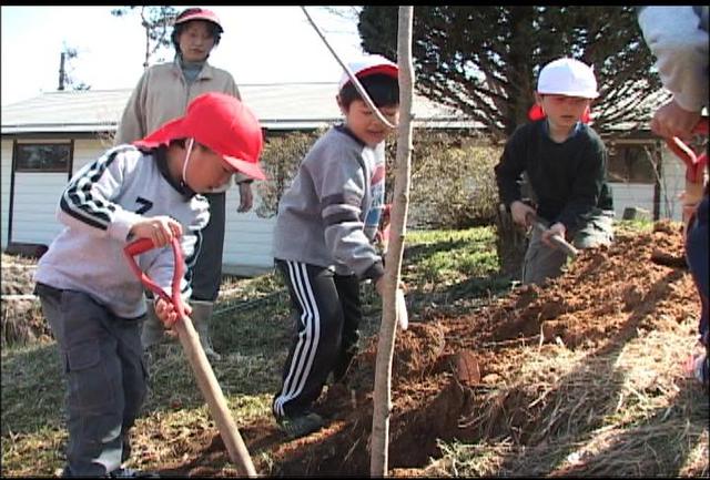 新山小1年生が桜の植樹