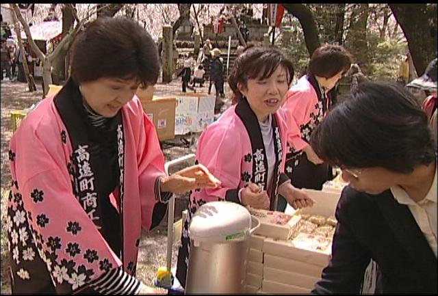 高遠城址公園　さくら茶のサービス