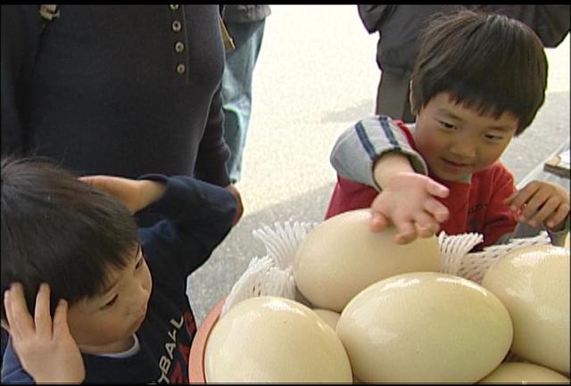 春らんまんみはらし祭り