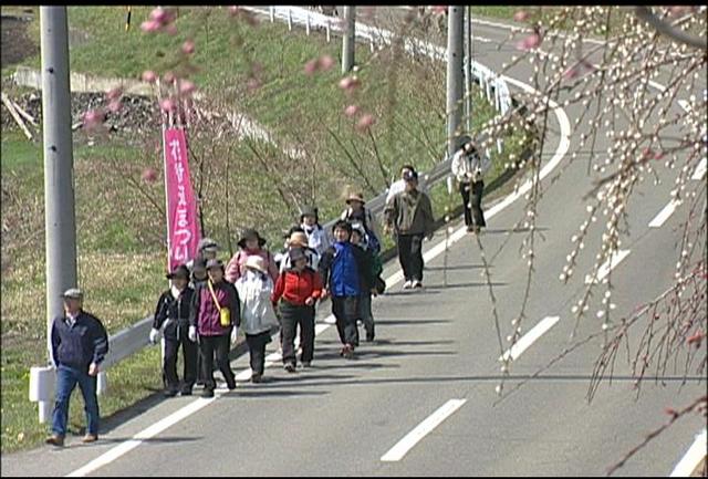 信州みのわ花街道まつり