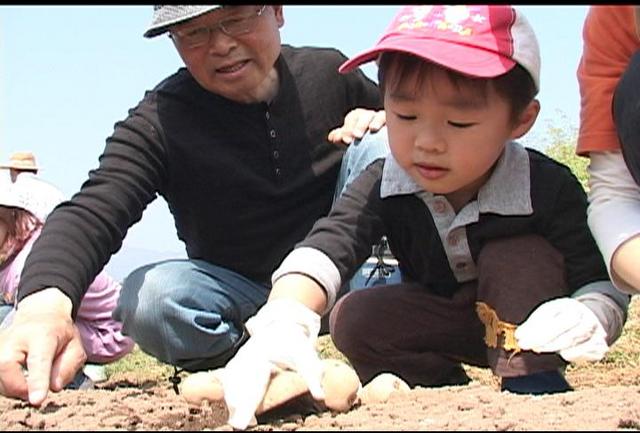 下殿島の親子が農業体験