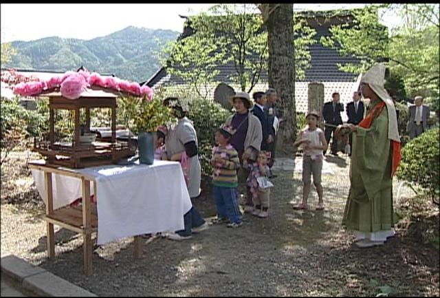 遠照寺でぼたん祭り開園