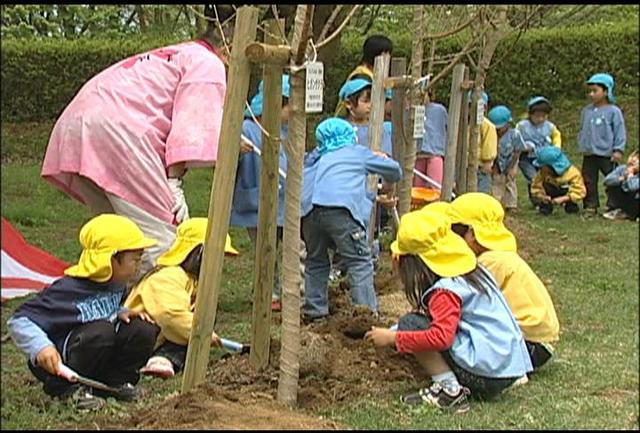 ルネッサンス西町の会が桜植樹