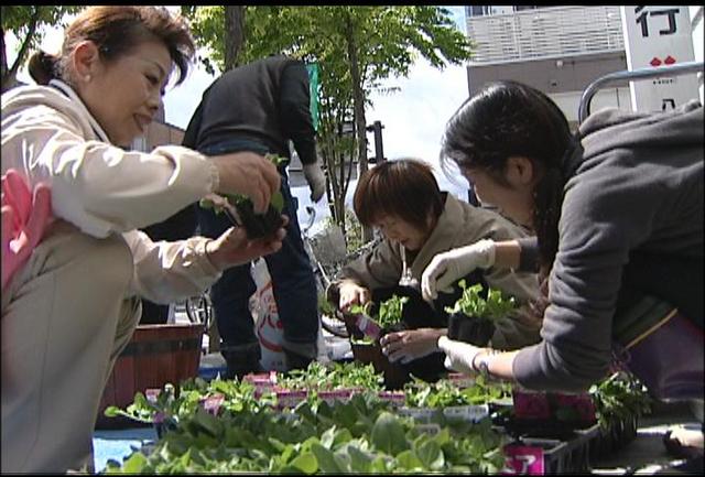 いなっせで花の植付け作業