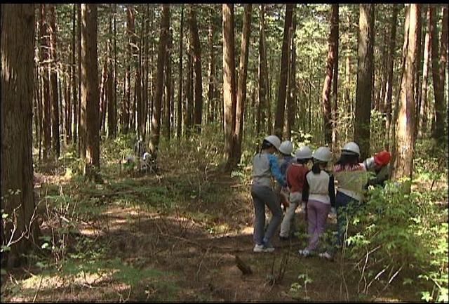 新宿区の児童が間伐体験