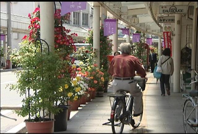 伊那市の通り町でバラ祭り