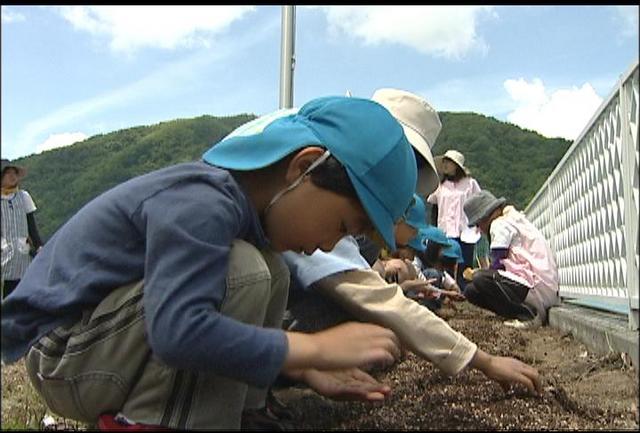 アマランサス　長谷保育園にプレゼント