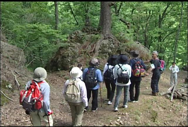 塩の道「秋葉街道」を歩く