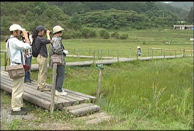 トンボの楽園で自然観察会